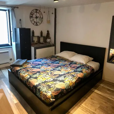 Appartement Studio Des Halles Millau